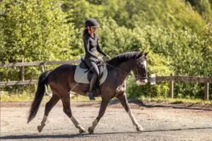 LisaTønne Tilhengernor ambassadør
